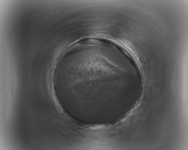 X0000089880097200707051217