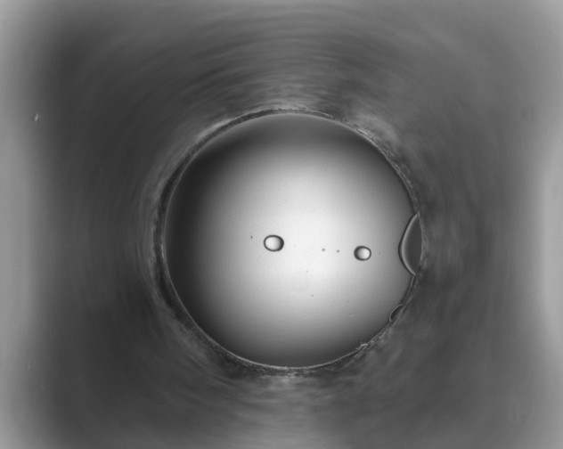 X0000089880098200707051217