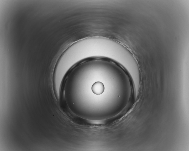 X0000089880099200707051217