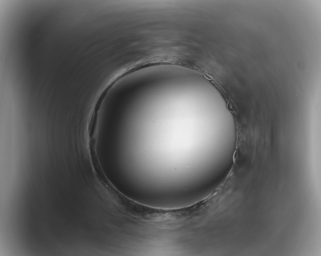 X0000089880100200707051217