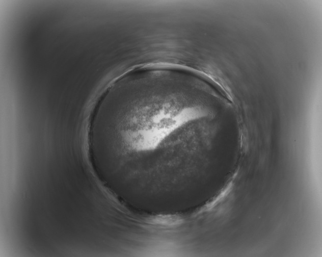 X0000089880101200707051217