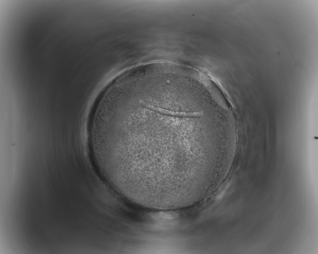 X0000089880102200707051217