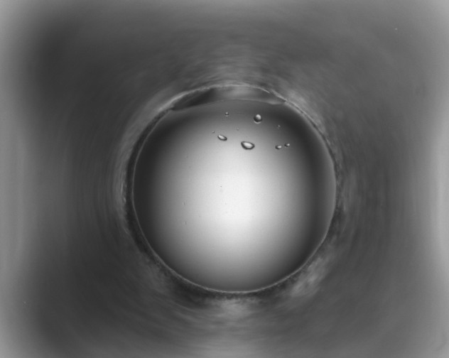 X0000089880103200707051217