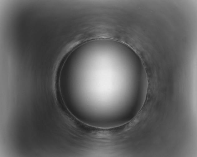 X0000089880104200707051217