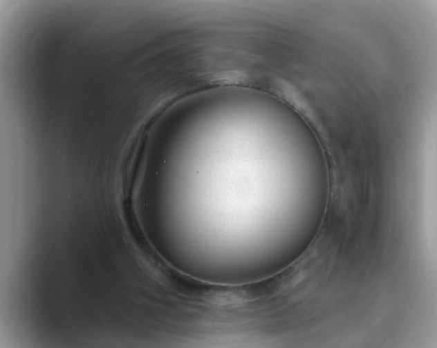 X0000089880106200707051217