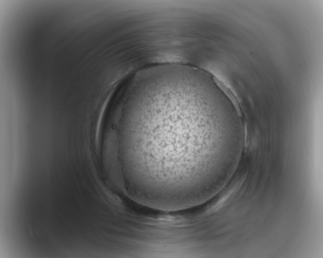 X0000089880109200707051217