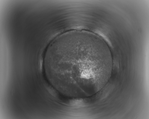 X0000089880110200707051217