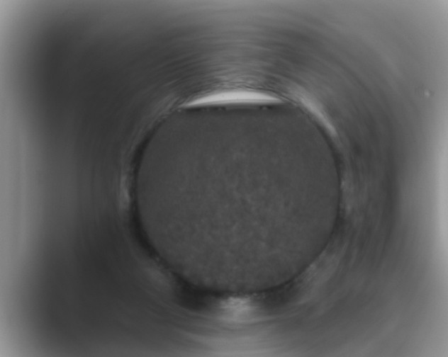 X0000089880114200707051217