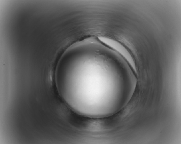 X0000089880115200707051217