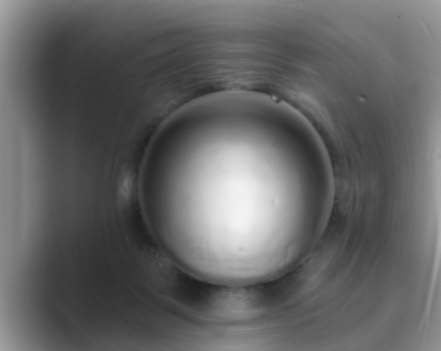 X0000089880123200707051217