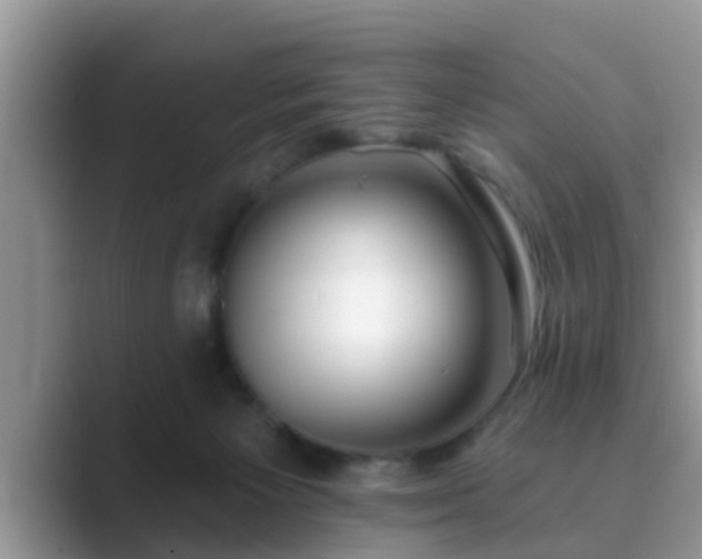 X0000089880125200707051217