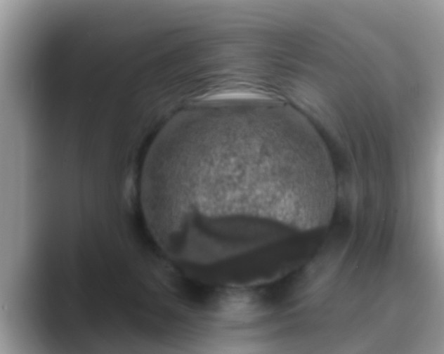 X0000089880127200707051217