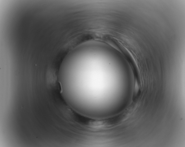 X0000089880129200707051217