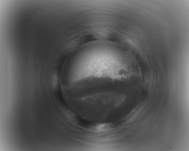 X0000089880130200707051217