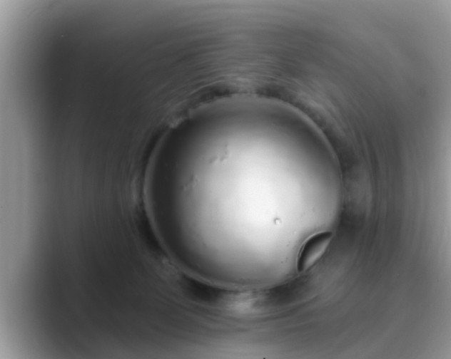 X0000089880131200707051217