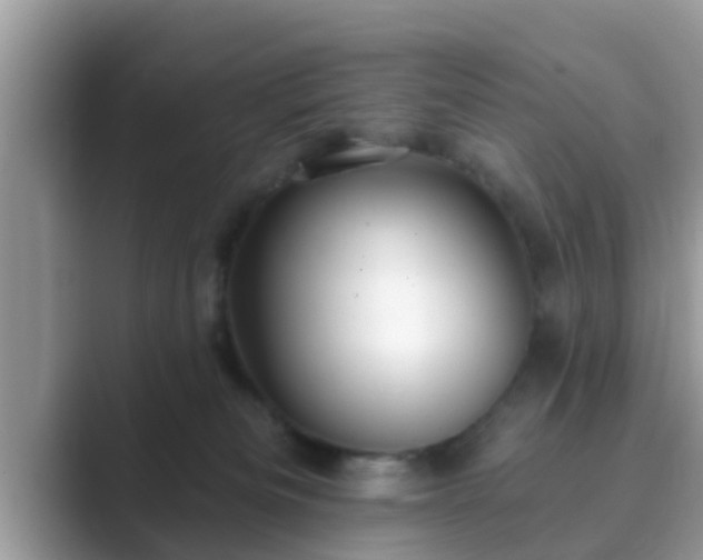 X0000089880133200707051217