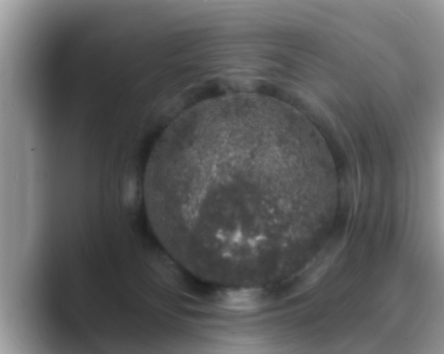 X0000089880134200707051217