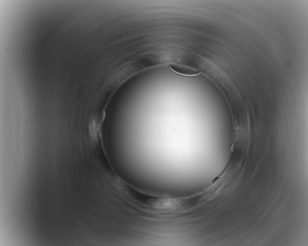 X0000089880142200707051217