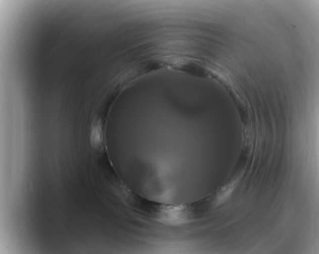 X0000089880143200707051217