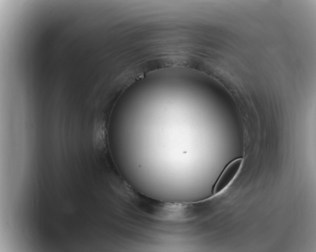 X0000089880144200707051217