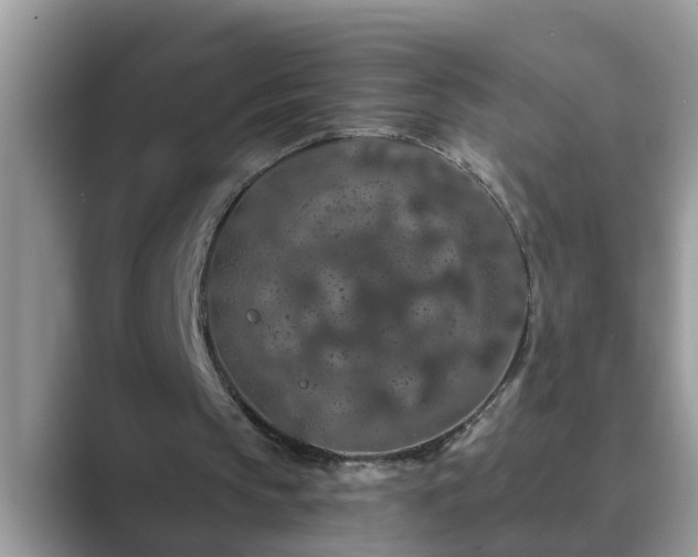 X0000089880145200707051216