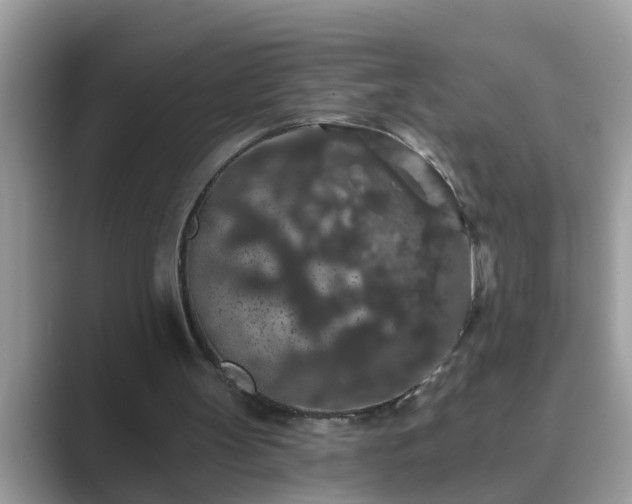 X0000089880147200707051216