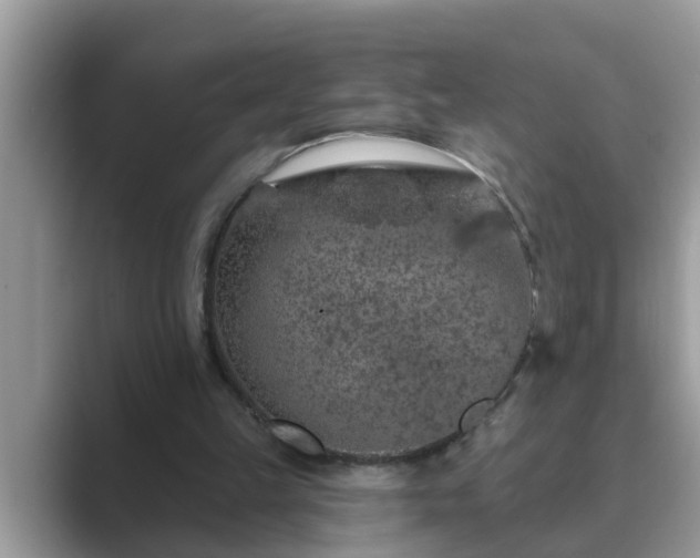 X0000089880149200707051216