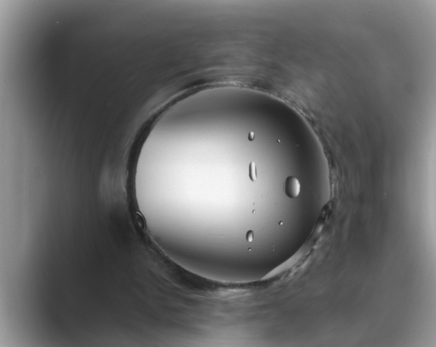 X0000089880150200707051216