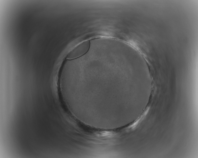 X0000089880151200707051216