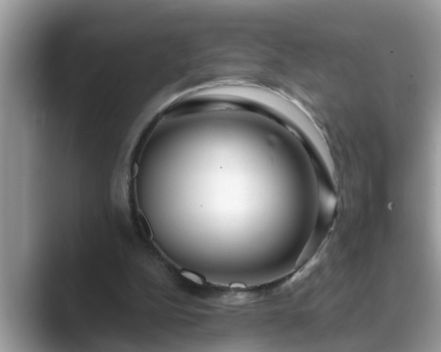 X0000089880152200707051216