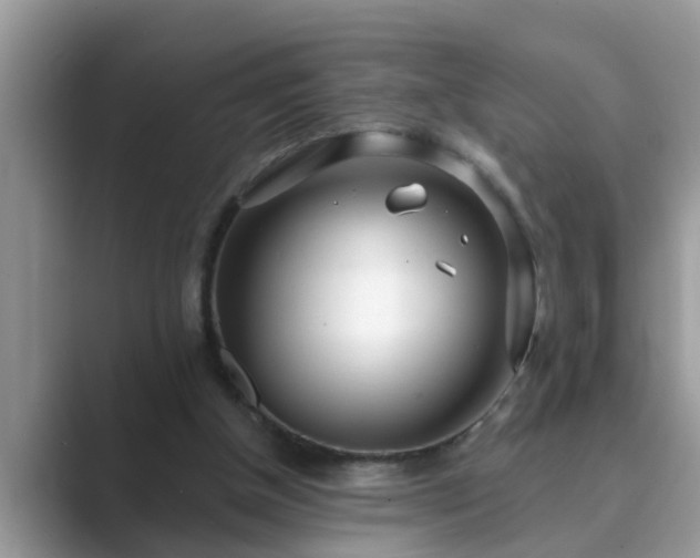 X0000089880154200707051216