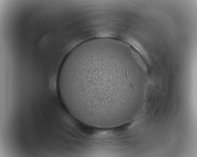 X0000089880155200707051216