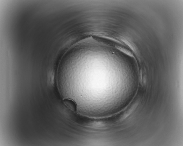 X0000089880157200707051216