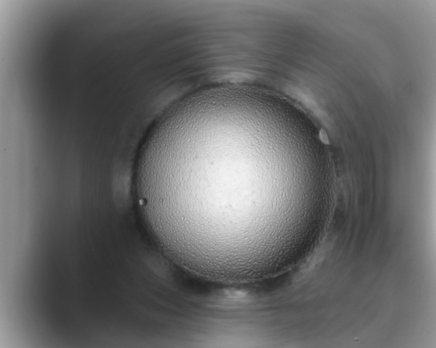 X0000089880159200707051216