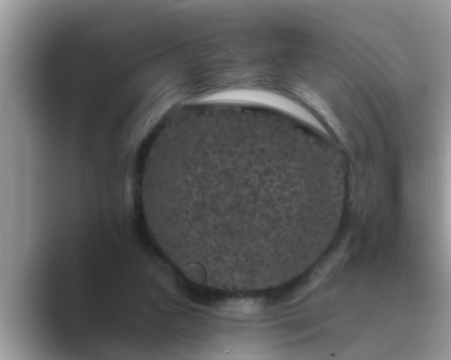 X0000089880161200707051216