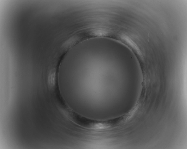 X0000089880163200707051216