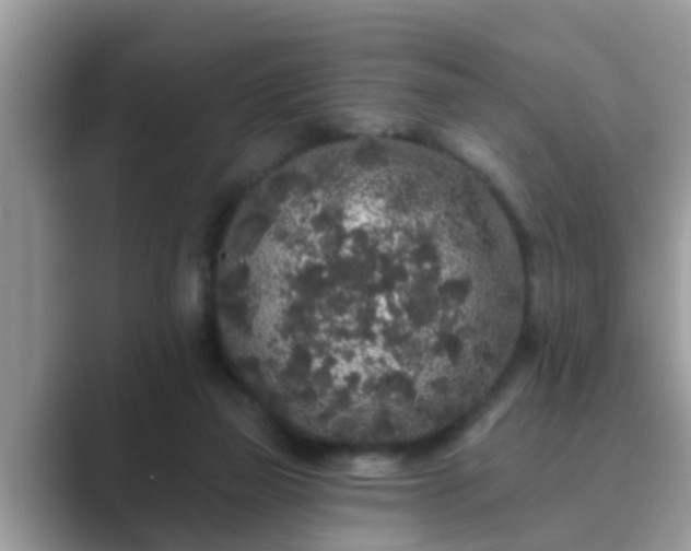 X0000089880165200707051216