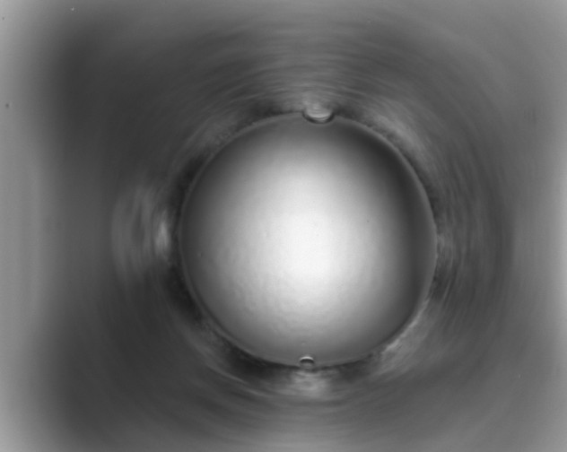 X0000089880166200707051216