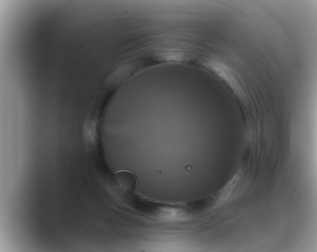 X0000089880167200707051216