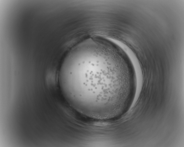 X0000089880168200707051217