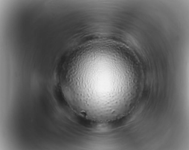 X0000089880173200707051217