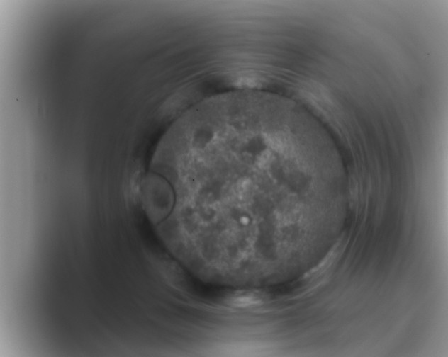 X0000089880175200707051217