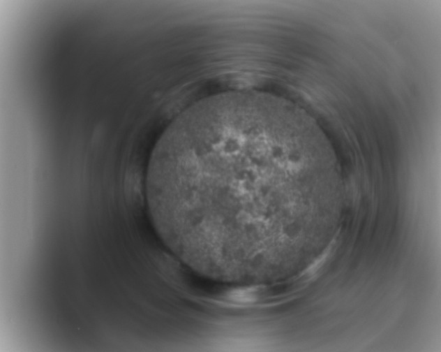 X0000089880178200707051217