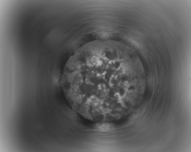 X0000089880181200707051217