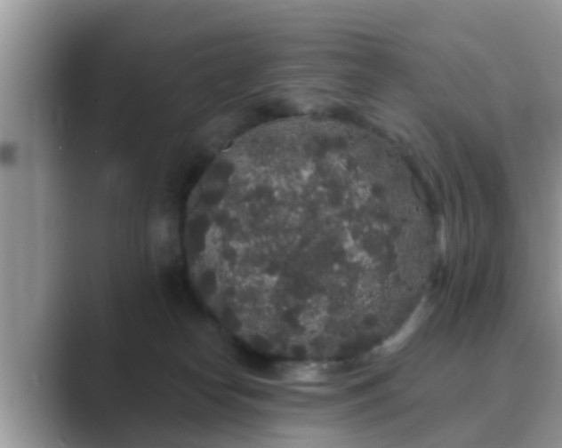 X0000089880182200707051217