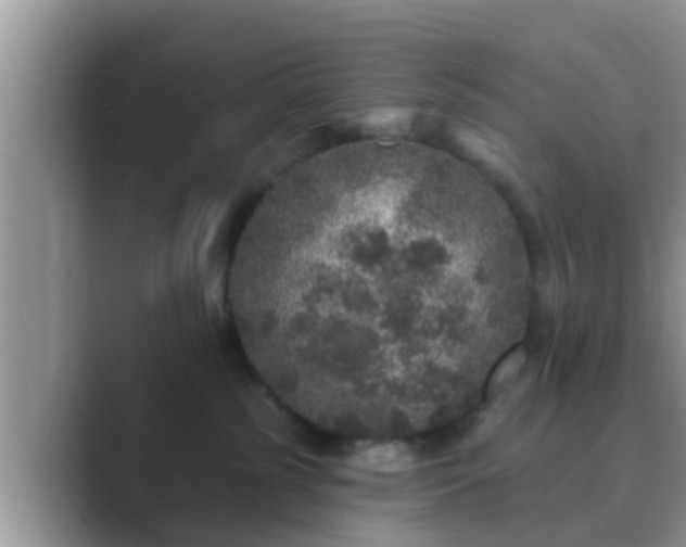 X0000089880185200707051217