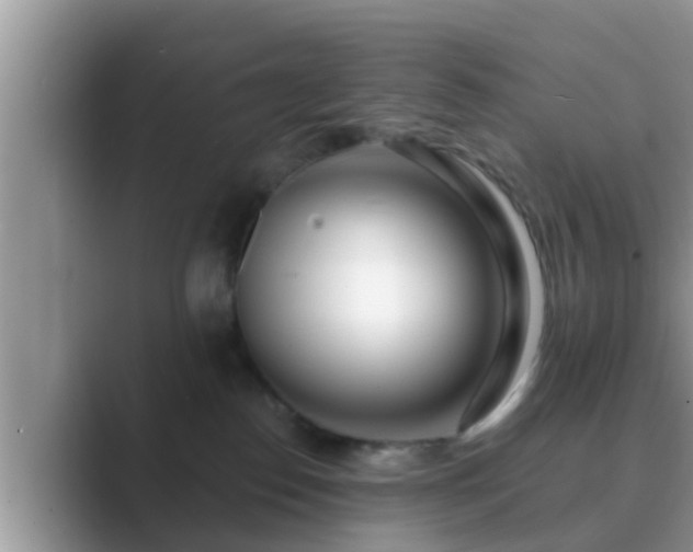 X0000089880186200707051217