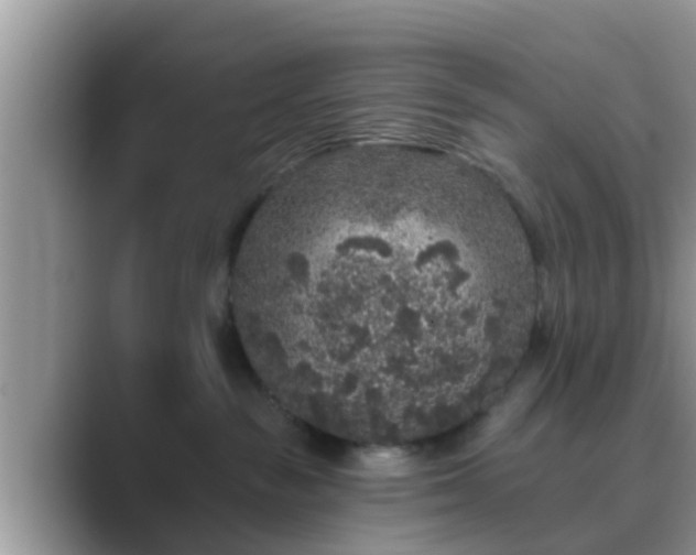 X0000089880189200707051217