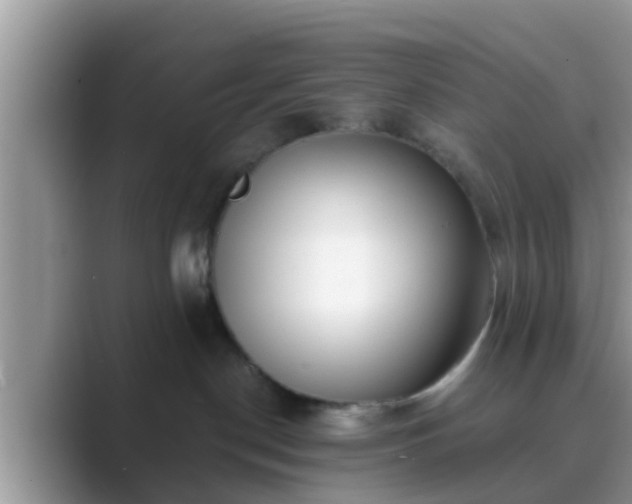 X0000089880190200707051217