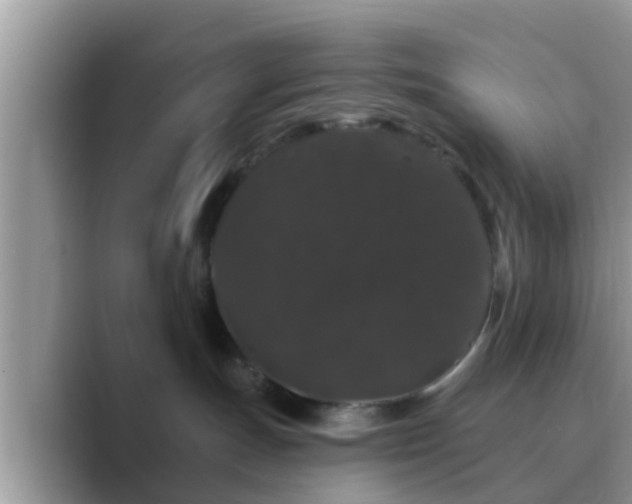 X0000089880191200707051217